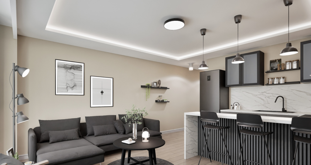 apt 1 (4)