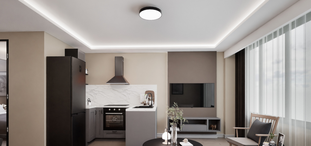 apt 2 (4)